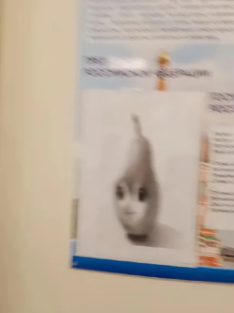 Размытый кот на экране