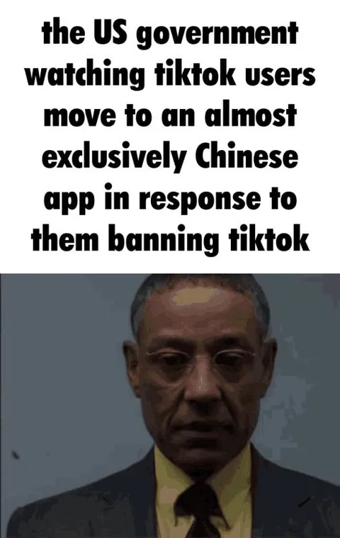 TikTok Users Move to Chinese App