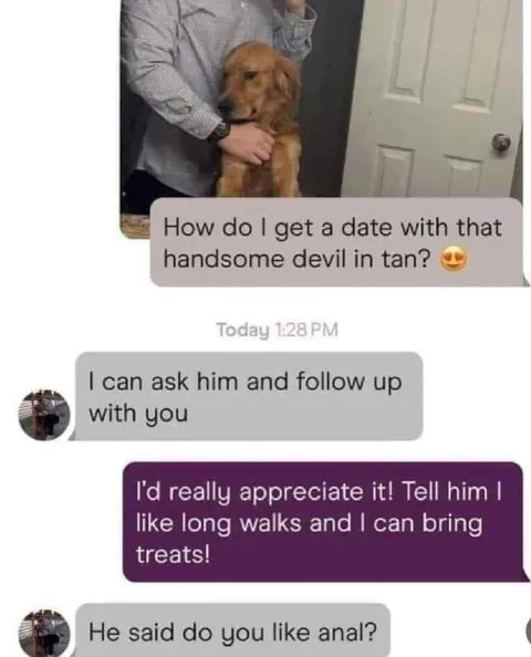 Dog Date Turns Awkward