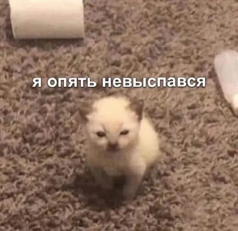 Котёнок опять не выспался