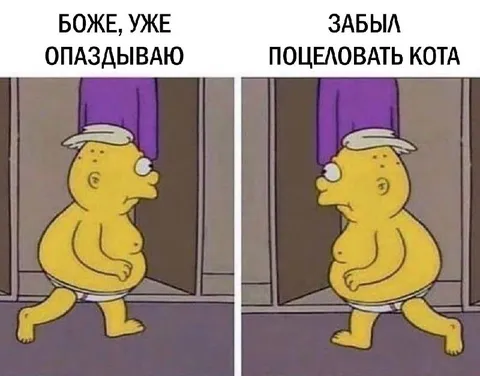 Опоздание из-за поцелуя кота
