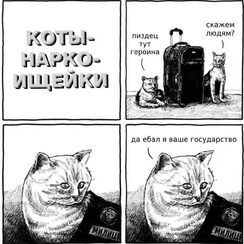 Коты-нарко-ищейки и государство