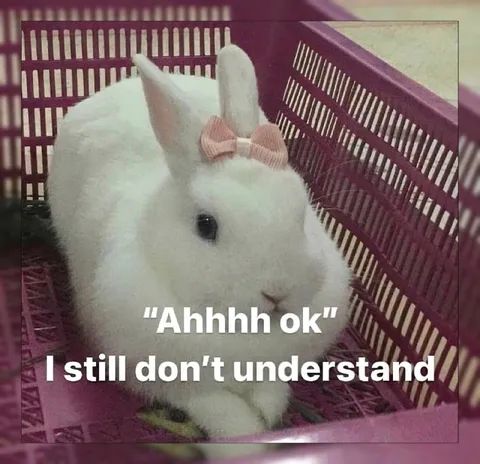 Still Don’t Understand Rabbit