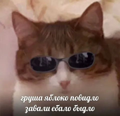 Кот в очках и повидло