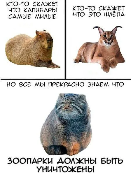 Зоопарки должны быть уничтожены