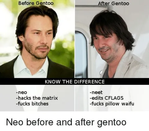 Neo Before and After Gentoo