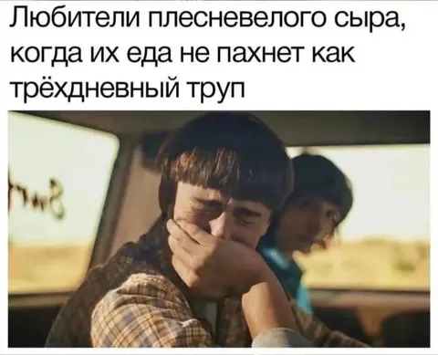 Любители плесневелого сыра