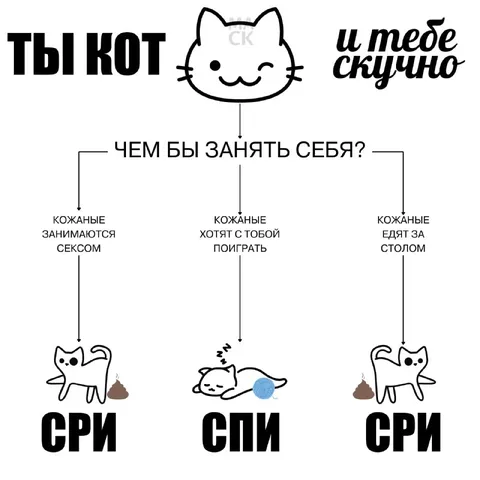 Ты кот, и тебе скучно