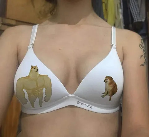 Сильный и обычный Доге