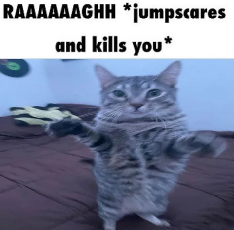 Cat Jumpscare Attack