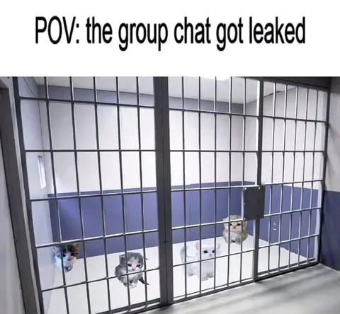 Group Chat Got Leaked