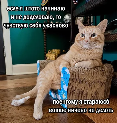 Кот ничего не делает