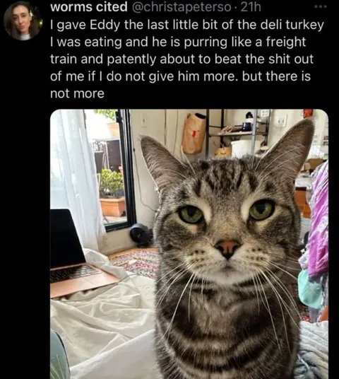 Cat Demands More Turkey