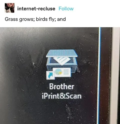 Grass Grows Birds Fly And