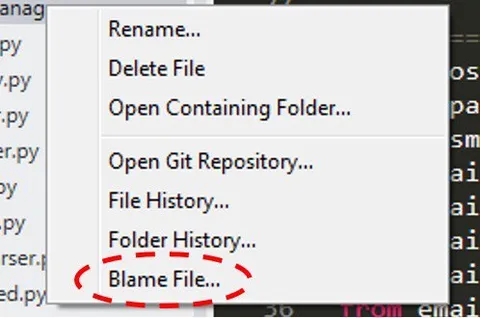Blame File Context Menu