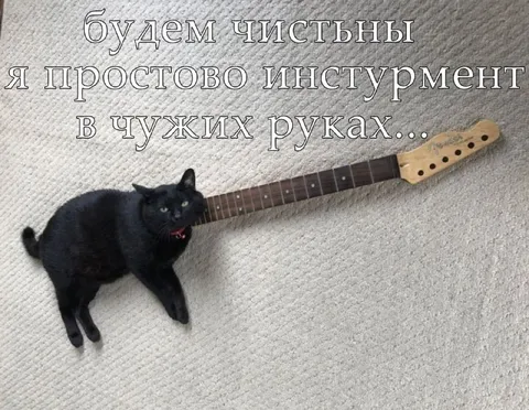 Кот — простой инструмент