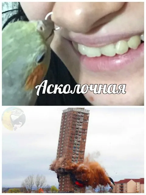 Асколочная разрушительная сила