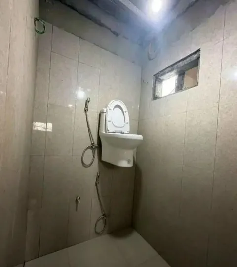 Туалет на стене