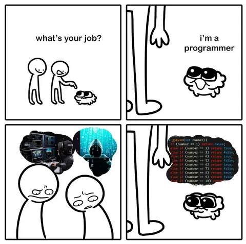 I'm a Programmer