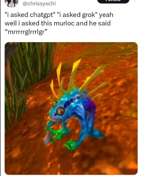 I Asked This Murloc