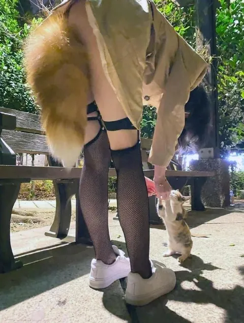 Кошка тянется к девушке