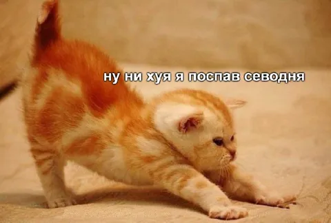 Ну ни хуя я поспав сегодня
