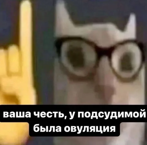 Ваша честь, у подсудимой овуляция