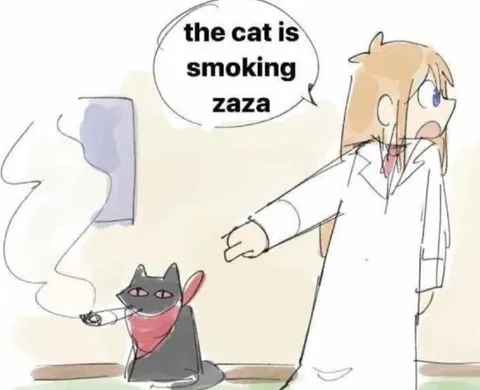 The Cat Is Smoking Zaza
