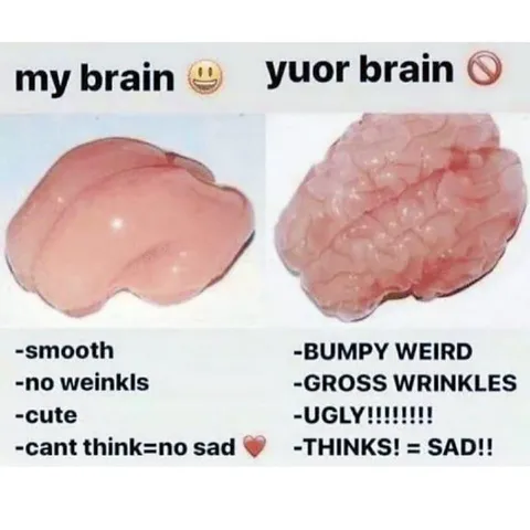My Brain vs Your Brain
