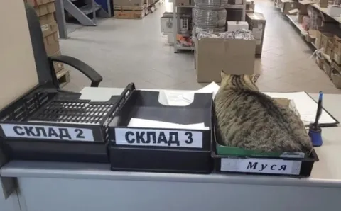 Муся на складе