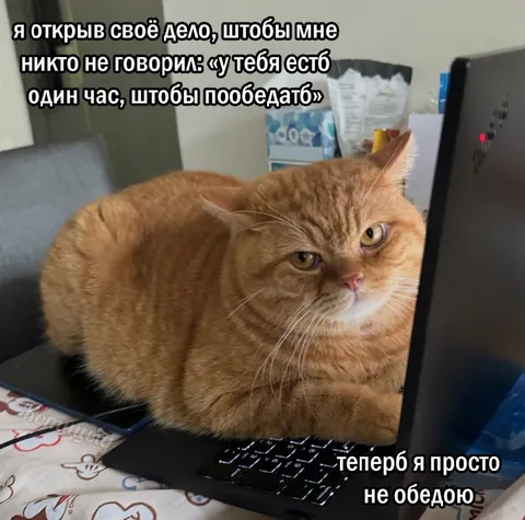 Открыл своё дело и не обедаю