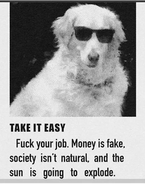 Take It Easy Monkey