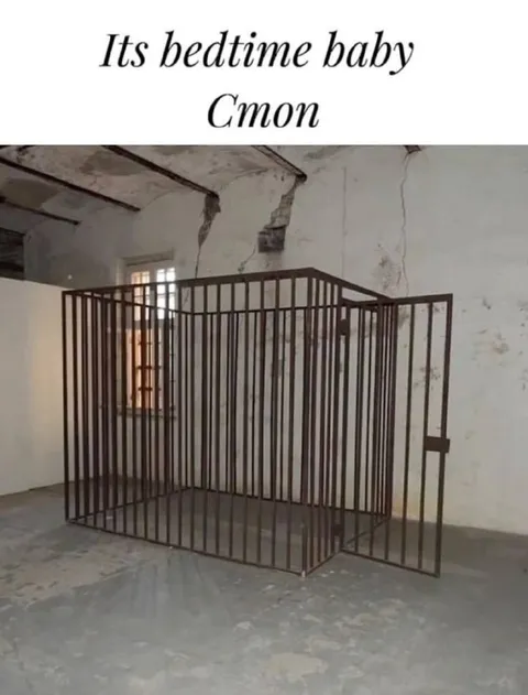 Its bedtime baby cage