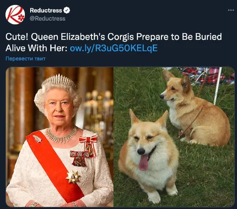 Queen Elizabeth’s Corgis Buried Alive