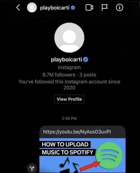 Playboi Carti Spotify Tutorial