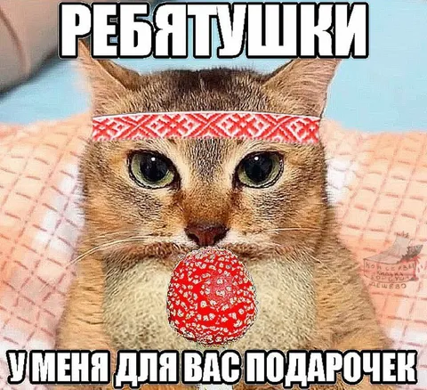 Котик с подарочком для ребятушек