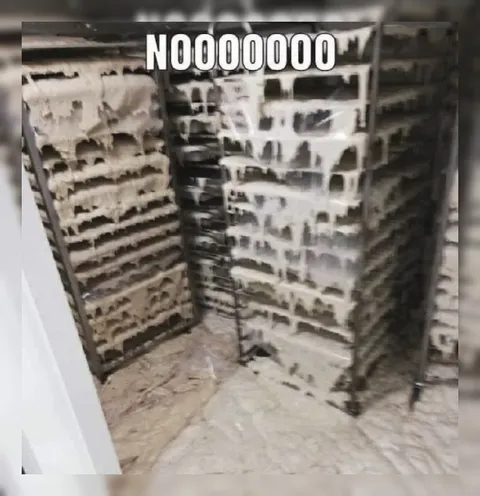 Frosted Freezer Disaster