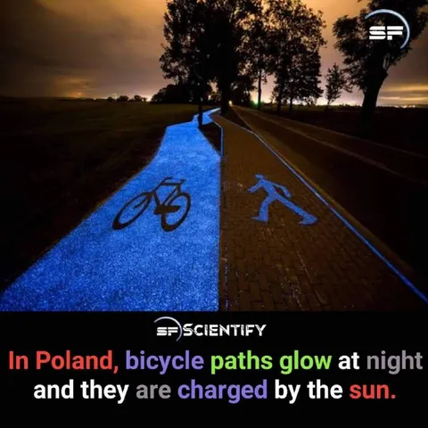 Polish Bicycle Paths Glow at Night