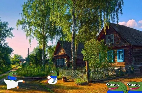 Пепе и гуси в деревне