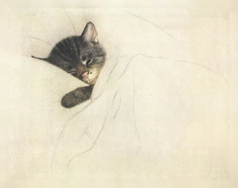Кот выглядывает из рисунка