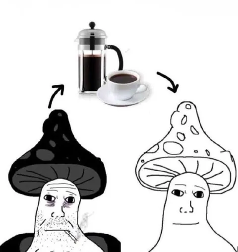 Грибы после кофе