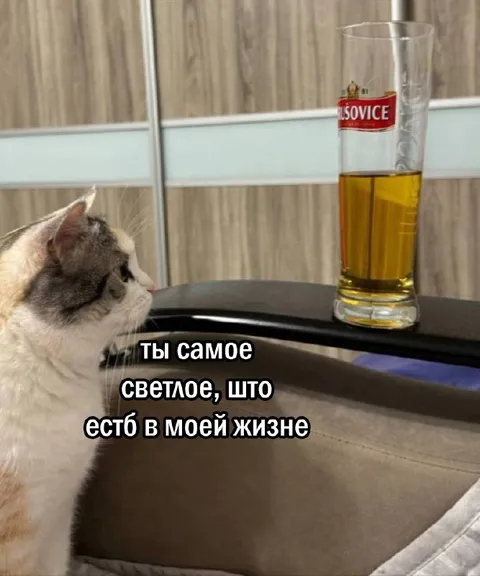 Самое светлое в жизни