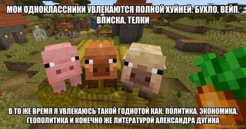Мои одноклассники и мои увлечения