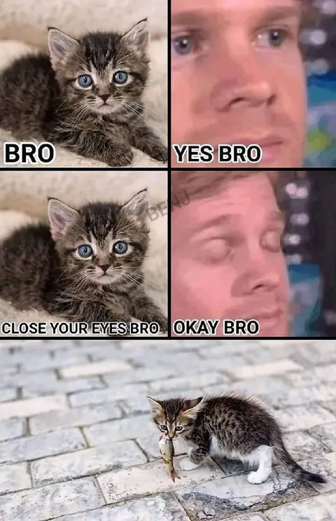 Close Your Eyes Bro