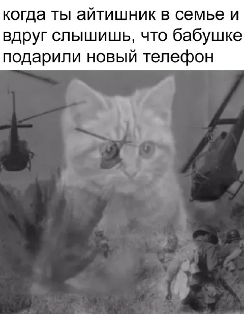 Айтишник услышал про новый телефон