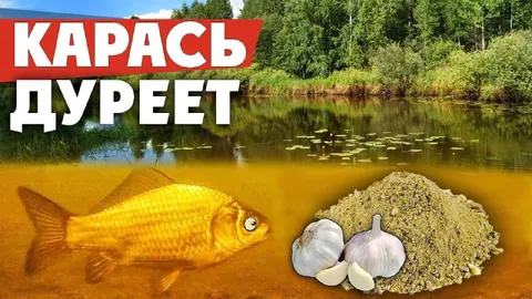 Карась дурееет от чеснока