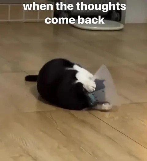 When the Thoughts Come Back