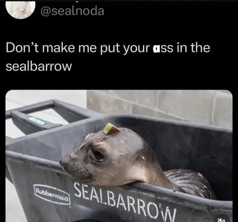 Seal in the Sealbarrow