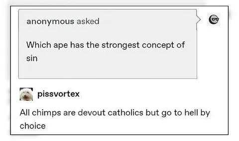 Devout Catholic Chimps