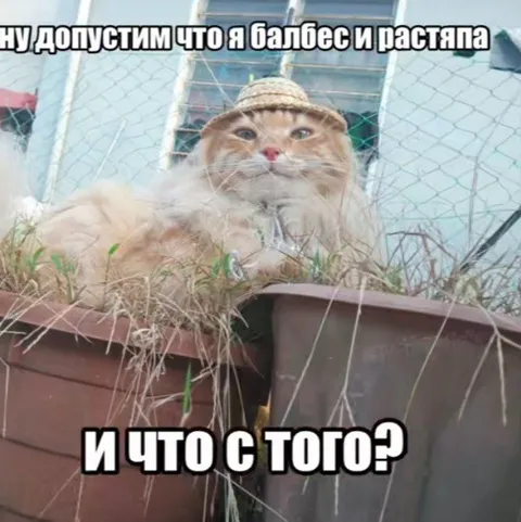 Ну допустим, я балбес